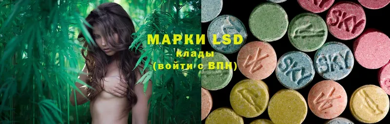 где продают   blacksprut онион  LSD-25 экстази ecstasy  Камбарка 